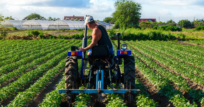 Agriculture